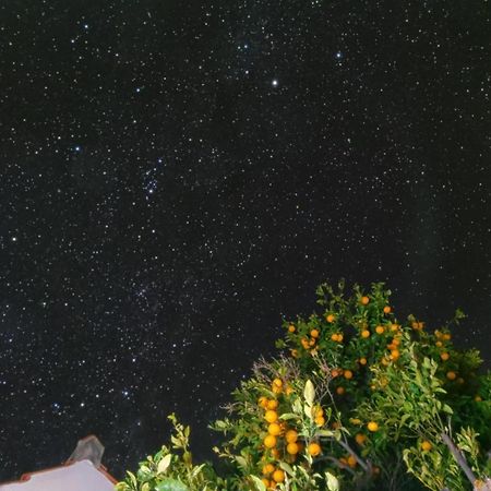"Villa Servanda " - Relax, Nature, Wide Views Of The Sea And A Starry Sky Puntagorda Exteriér fotografie