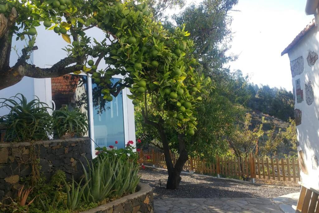 "Villa Servanda " - Relax, Nature, Wide Views Of The Sea And A Starry Sky Puntagorda Exteriér fotografie